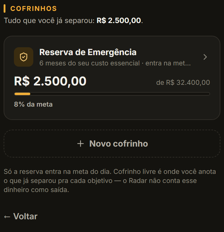 Tela real: cofrinhos, com a reserva de emergência em 8% da meta